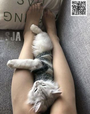猛鬼屠房电影完整版免费观看_1080P高清在线
