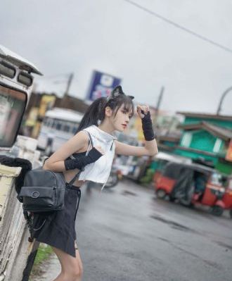 驯服3_DVD免费高清观看